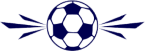 NYPFC Soccer ball