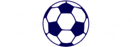 NYPFC Soccer ball